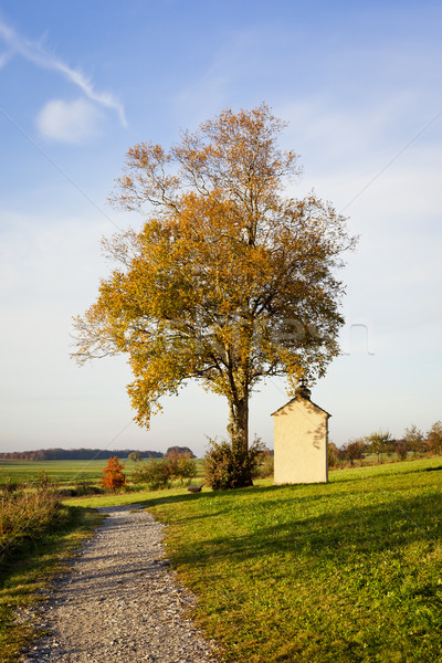 autumn scenery Stock photo © magann