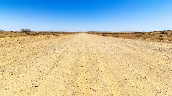 desert road Stock photo © magann