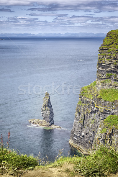 cliffs of moher Stock photo © magann