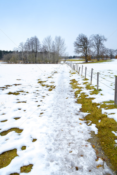 winter scenery Osterseen Stock photo © magann