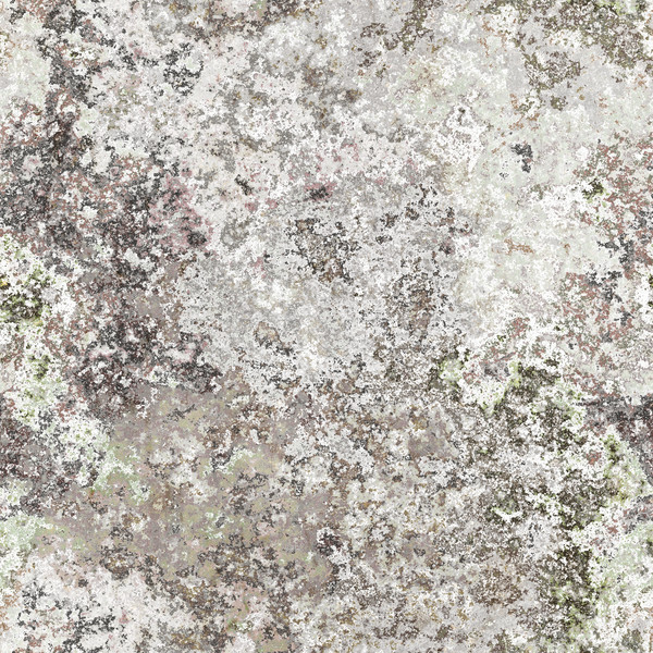 seamless lichen background Stock photo © magann