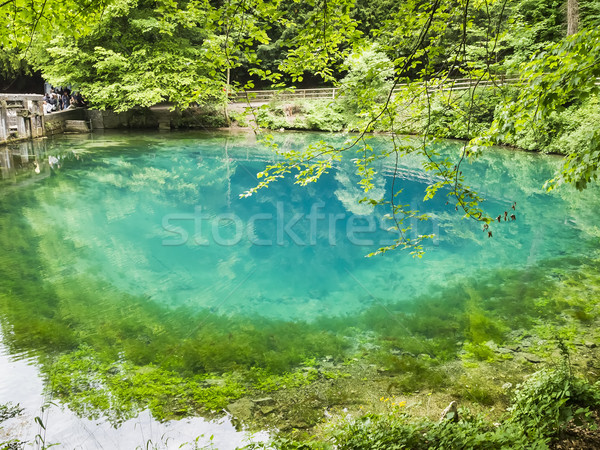 blautopf Stock photo © magann