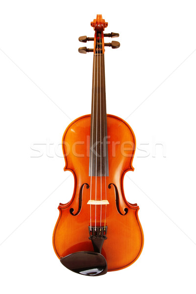 violine Stock photo © magann