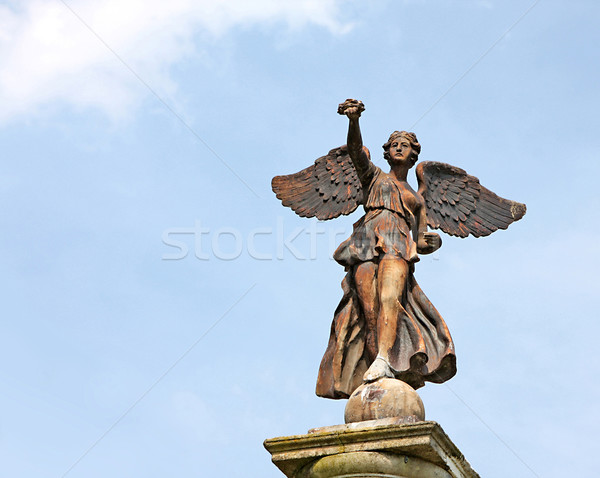 stone angel Stock photo © magann