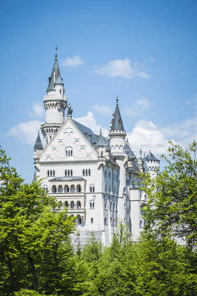 Castle Neuschwanstein Bavaria Germany Stock photo © magann