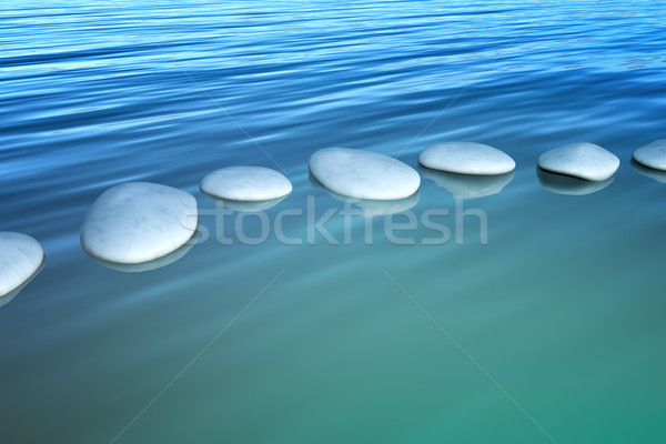Krok kamienie obraz ocean plaży wody Zdjęcia stock © magann