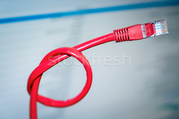 red networking cable with a knot Stock photo © magann