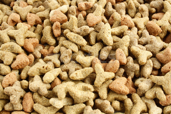 Kat voedsel afbeelding drogen hond Stockfoto © magraphics