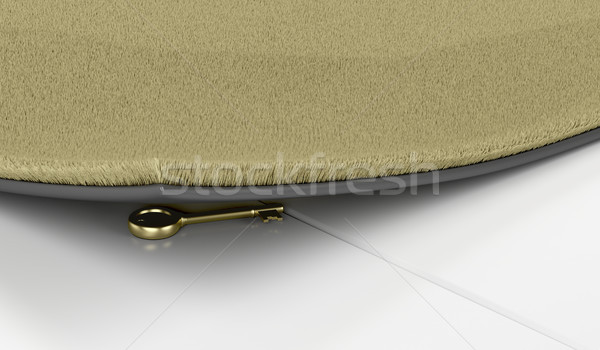 Golden key under the doormat Stock photo © magraphics