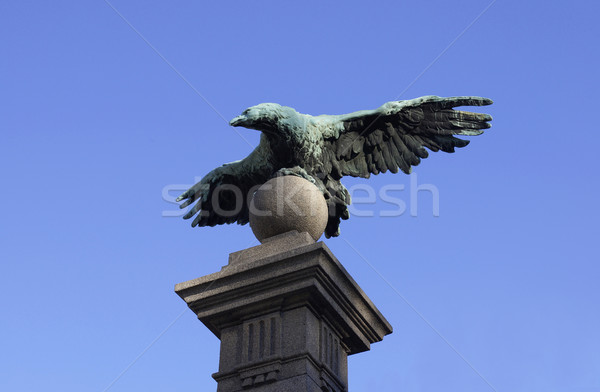 Eagles pod Sofia vultur Bulgaria Imagine de stoc © magraphics