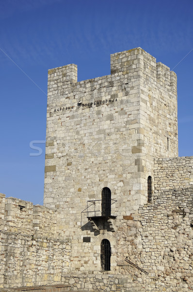 Despot Stefan Tower Stock photo © magraphics