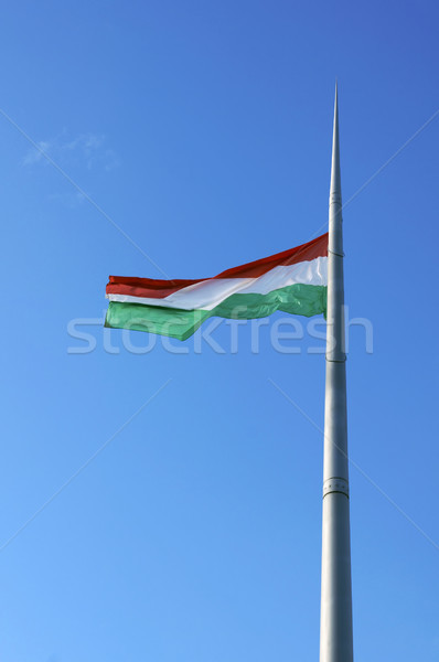 Flag of Hungary Stock photo © magraphics