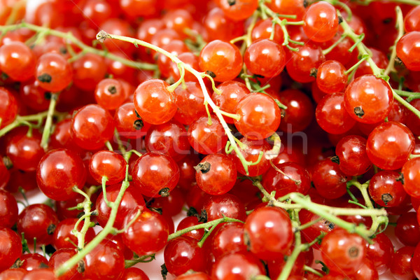 Rosso ribes macro foto fresche frutti di bosco Foto d'archivio © magraphics