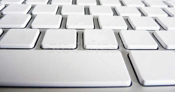 Blank keyboard Stock photo © magraphics