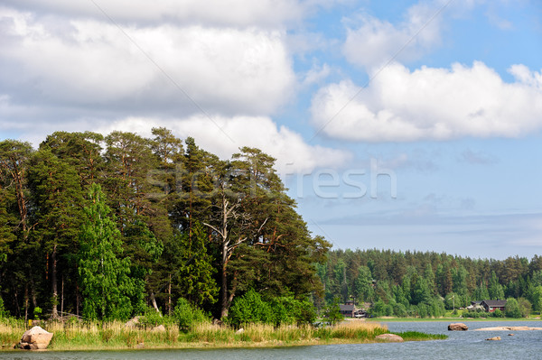 Wald Inseln Finnland Golf Landschaft Wohn- Stock foto © mahout