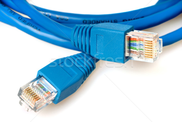 Blue network cable with jack Stock photo © mahout