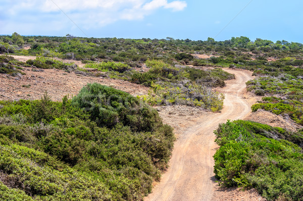 Cyprus rural landscape Stock photo © mahout