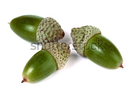 Foto stock: Três · branco · verde · isolado · textura · madeira