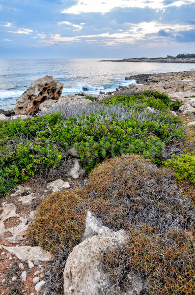Rocky coastline in Cyprus Stock photo © mahout