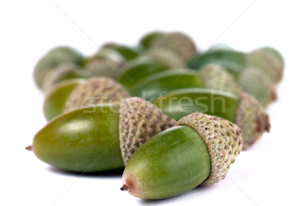 Heap of green acorns isolated on white background Stock photo © mahout