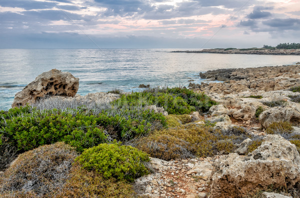 Rocky coastline in Cyprus Stock photo © mahout