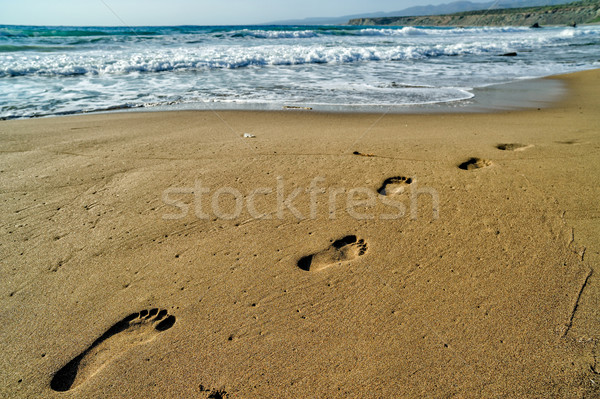 Footsteps on the sand Stock photo © mahout