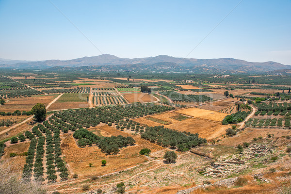 Foto stock: Jardines · campos · meseta · montanas · jardín · campo