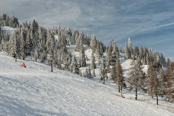 Ski slope on resort in Austrian Alps Stock photo © mahout