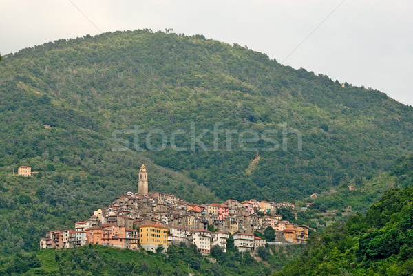 Kisváros Olaszország panorámakép kilátás fa fal Stock fotó © mahout