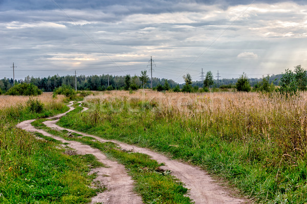 [[stock_photo]]: Rural · route · champ · d'herbe · électriques · pouvoir