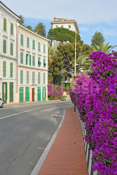 Flor calle mediterráneo ciudad pequeño pueblo ciudad Foto stock © mahout
