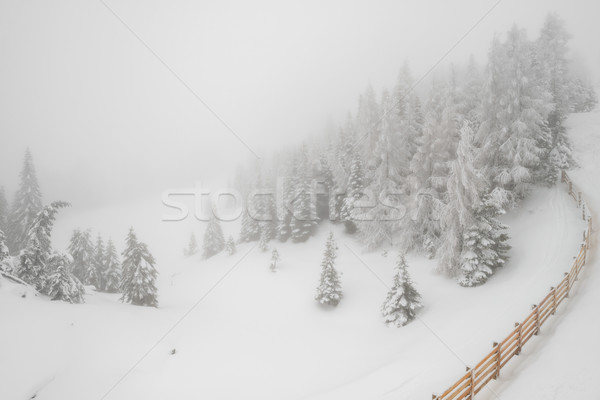 Ninsoare munte iarnă pădure frumos peisaj Imagine de stoc © mahout
