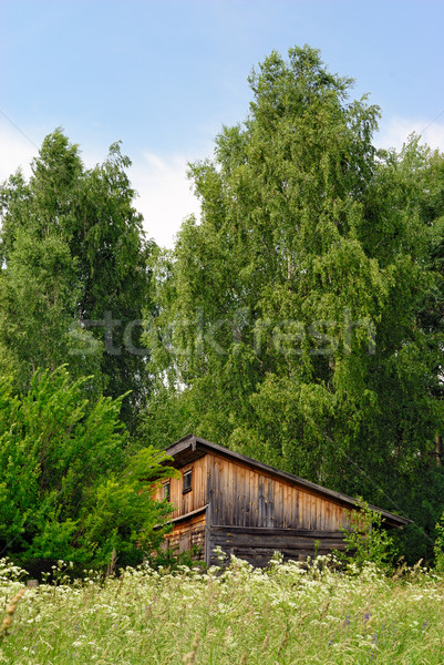 Old shed on the fringe of the forest Stock photo © mahout