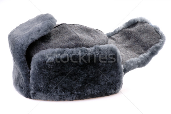 Russian fur hat with ear-flaps isolated Stock photo © mahout