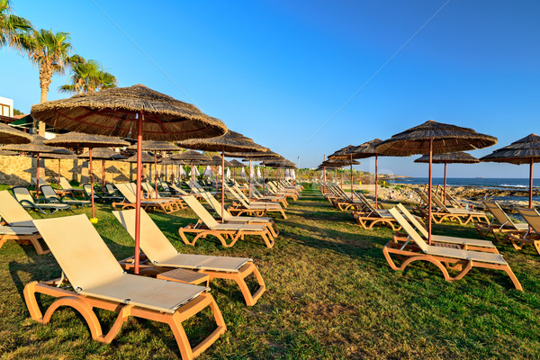 üdülőhely tengerpart strandszékek szalmaszál napernyő fű Stock fotó © mahout