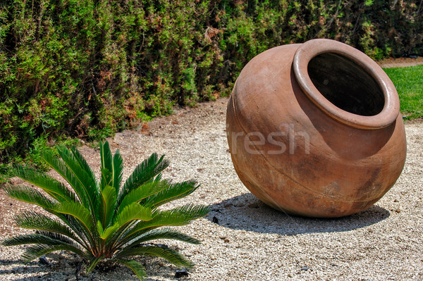 Vintage hierba naturaleza diseno casa Foto stock © mahout