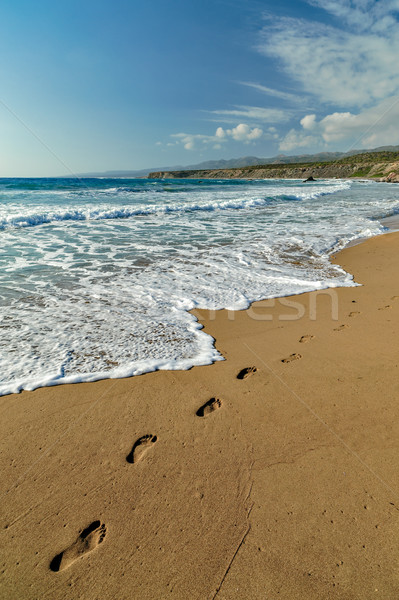 沙 海灘 水 雲 夏天 商業照片 © mahout