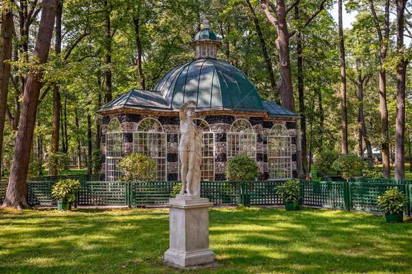 Stok fotoğraf: Düşük · park · çim · doğa · ağaçlar · güzellik