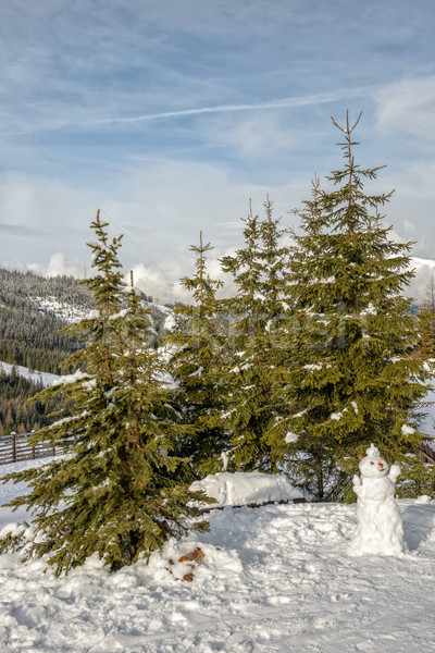 Snowman and spruces in mountains Stock photo © mahout