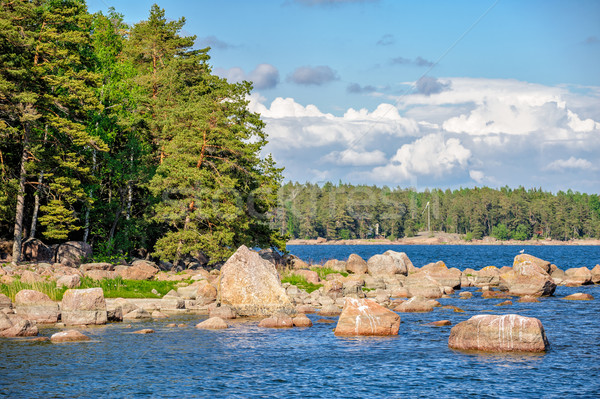Krajobraz Finlandia lasu drzewo Zdjęcia stock © mahout