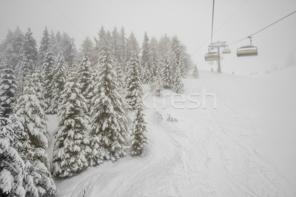 Ninsoare alpin schi recurge iarnă pădure Imagine de stoc © mahout