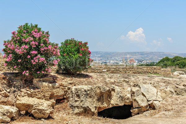 Arkeolojik müze Kıbrıs gökyüzü şehir seyahat Stok fotoğraf © mahout