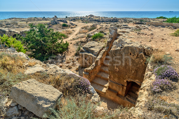 Archeologiczny muzeum Cypr miasta morza podróży Zdjęcia stock © mahout
