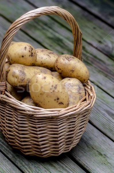 Stok fotoğraf: Patates · sepet · grup · sonbahar · renk