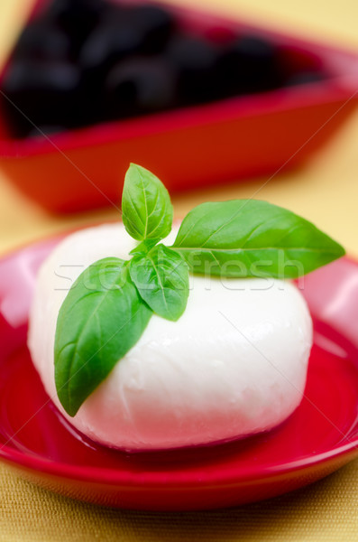 mozzarella. Stock photo © maisicon
