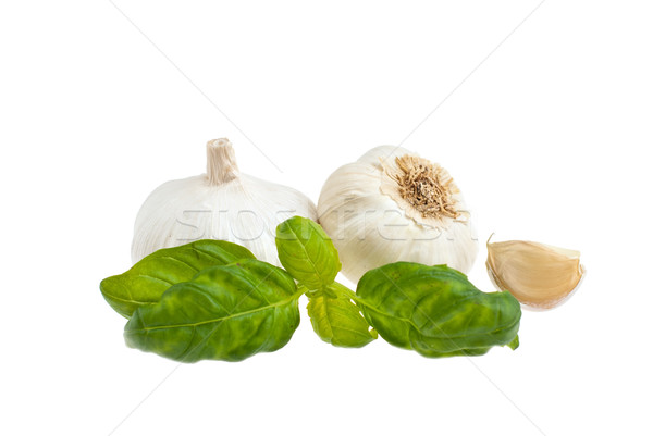 Garlic, basil. Stock photo © maisicon