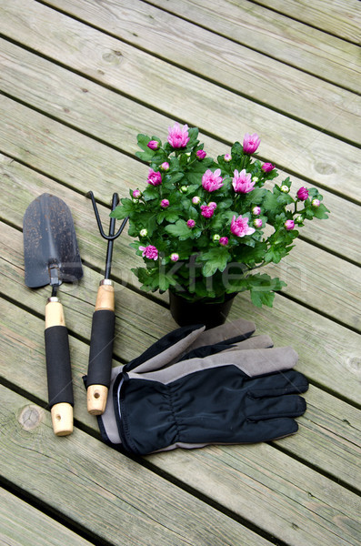 Gardening tools. Stock photo © maisicon