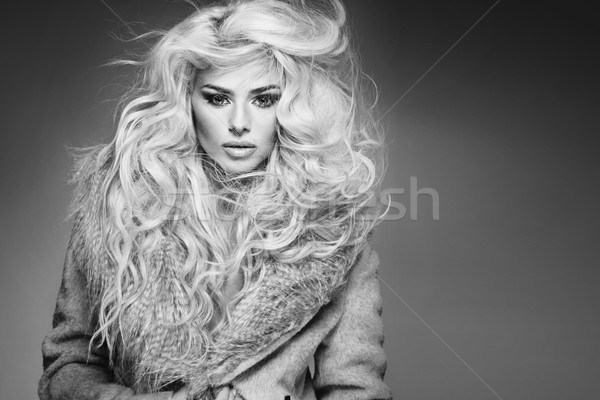 Portrait of the fashionable woman Stock photo © majdansky