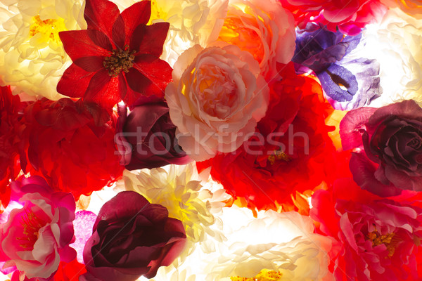 Fleurs jardin fond été [[stock_photo]] © majdansky