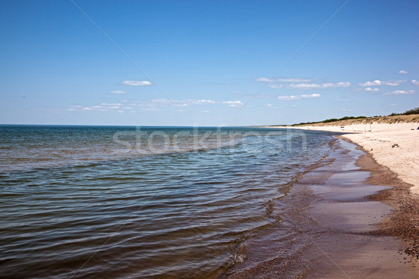 Baltic Sea Coast Stock photo © maknt